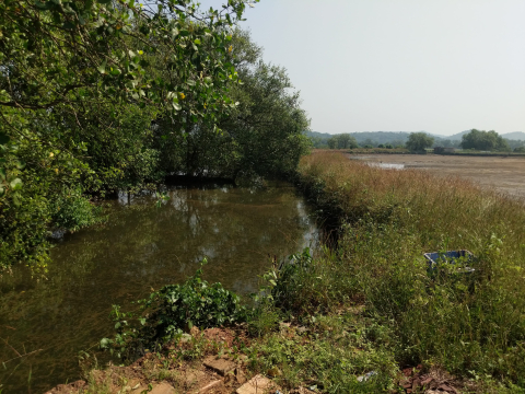 A holding pond used for fish farming (Courtesy: George Jerry Jacob)