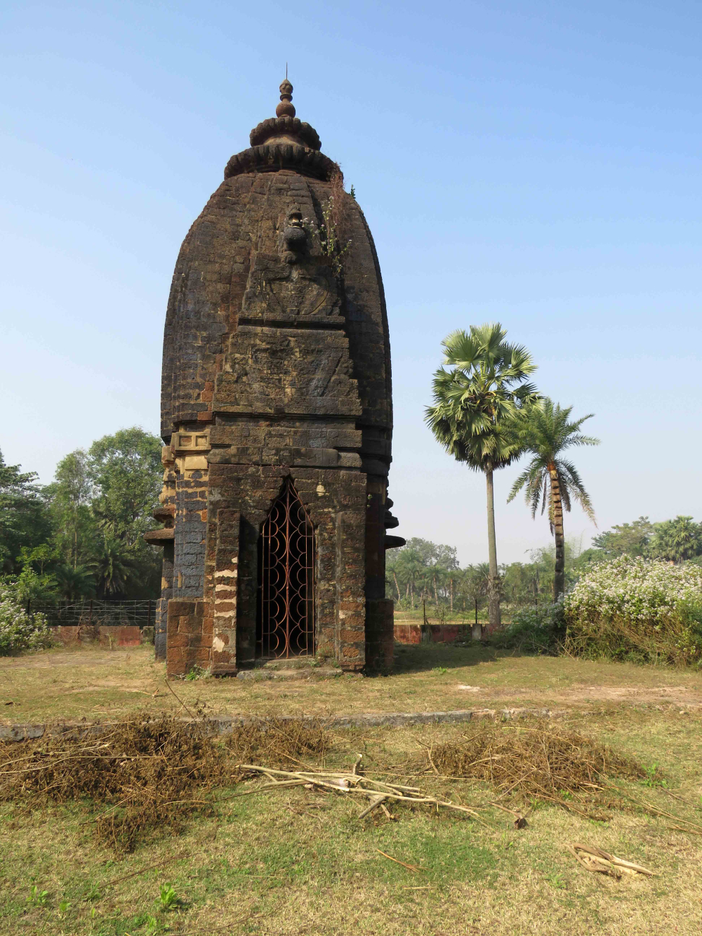 Parsvanath temple, Deulbhira