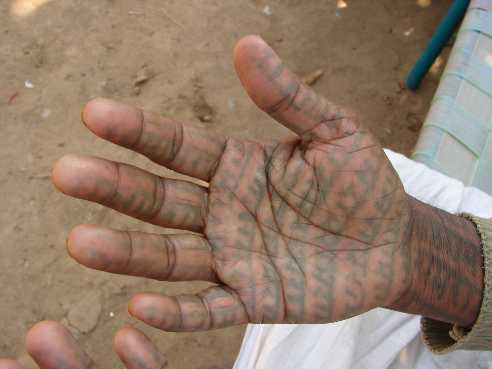 Ramram godna on palms