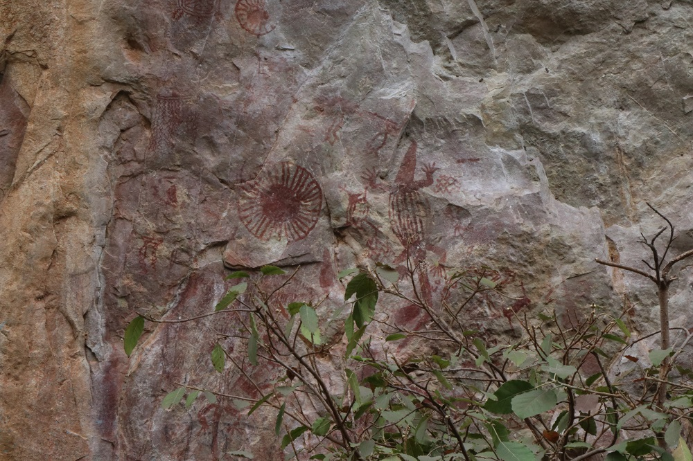 पहिया, गोह, मोर, कछुआ और साथ में जटिल रेखांकन