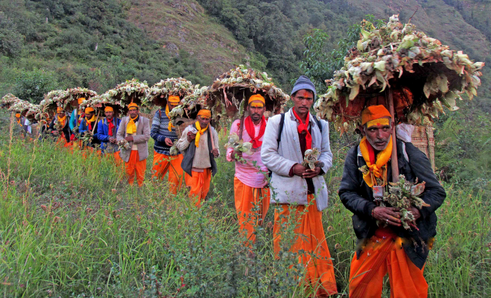 Fig.13.जात के बाद वापस डुमक गाँव पहुँचता हुआ यात्री दल| सौजन्य:देवेंद्र नेगी एवं लक्ष्मण सिंह