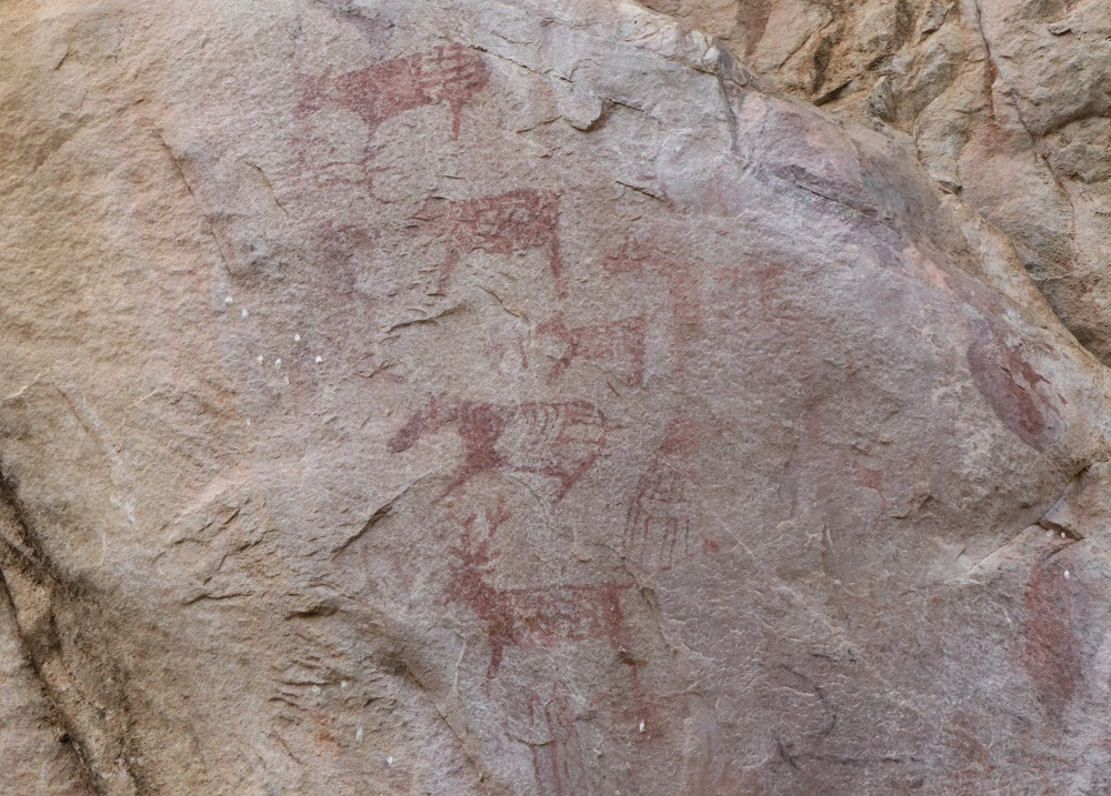 हिरण, शूकर, बारहसिंगा आदि के चित्र