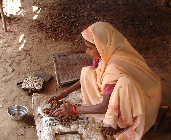 Woman preparing to make tamarind bricks