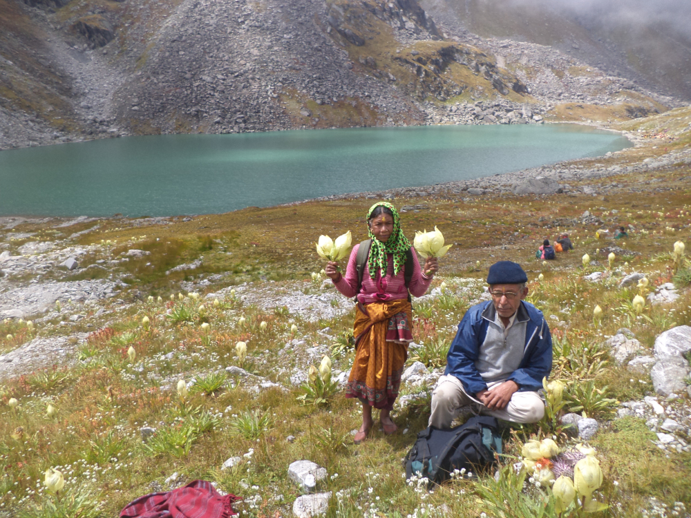 Fig.2.नंदी कुण्ड सरोवर के पास ब्रह्म कमल तोड़ते हुए जात यात्री| सौजन्य: रघुवीर सिंह एवं लक्ष्मण सिंह सनवाल