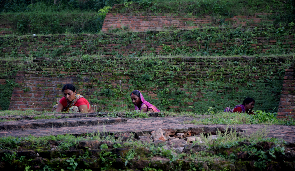 चित्र २. पश्चिमी चम्पारण के लौरिया नंदनगढ़ स्थित बौद्ध स्तूप पर उग आई घास को काटती स्थानीय महिलाएं (फोटो: अफ़रोज़ आलम साहिल, अक्टूबर, 2019)