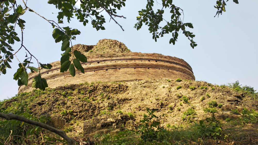 चित्र ३. पूर्वी चम्पारण स्थित केसरिया स्तूप के उपरी हिस्से की तस्वीर (फोटो:  अफ़रोज़ आलम साहिल, अक्टूबर, 2019)
