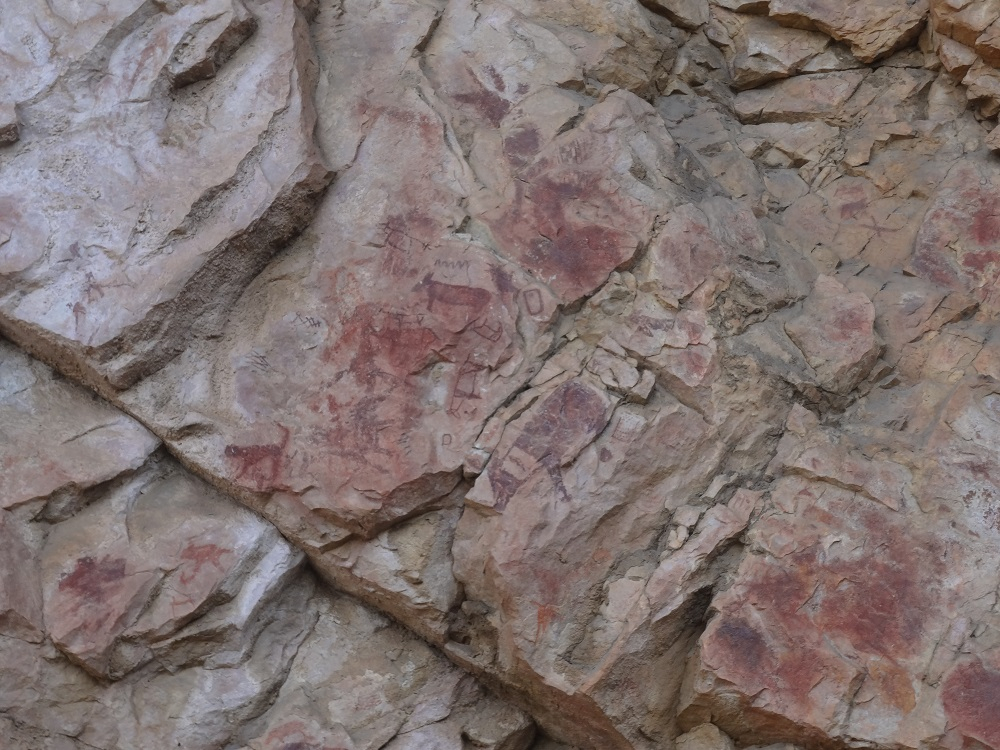 बम्हनदाई, बसनाझर के शैलचित्र