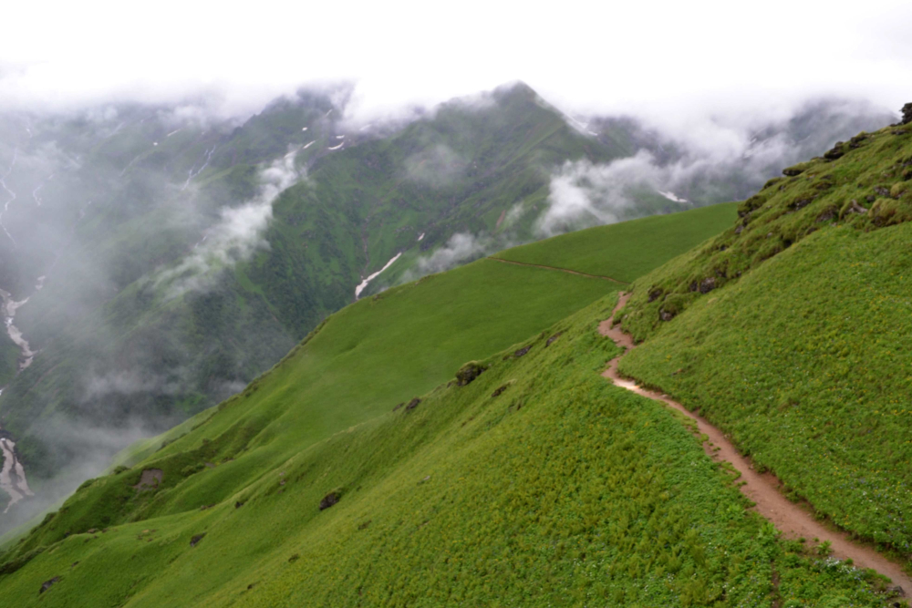 Fig.7. उच्च हिमालयी क्षेत्र में भेड़ों के चलने से बनी पगडंडी| सौजन्य:देवेंद्र नेगी एवं लक्ष्मण सिंह