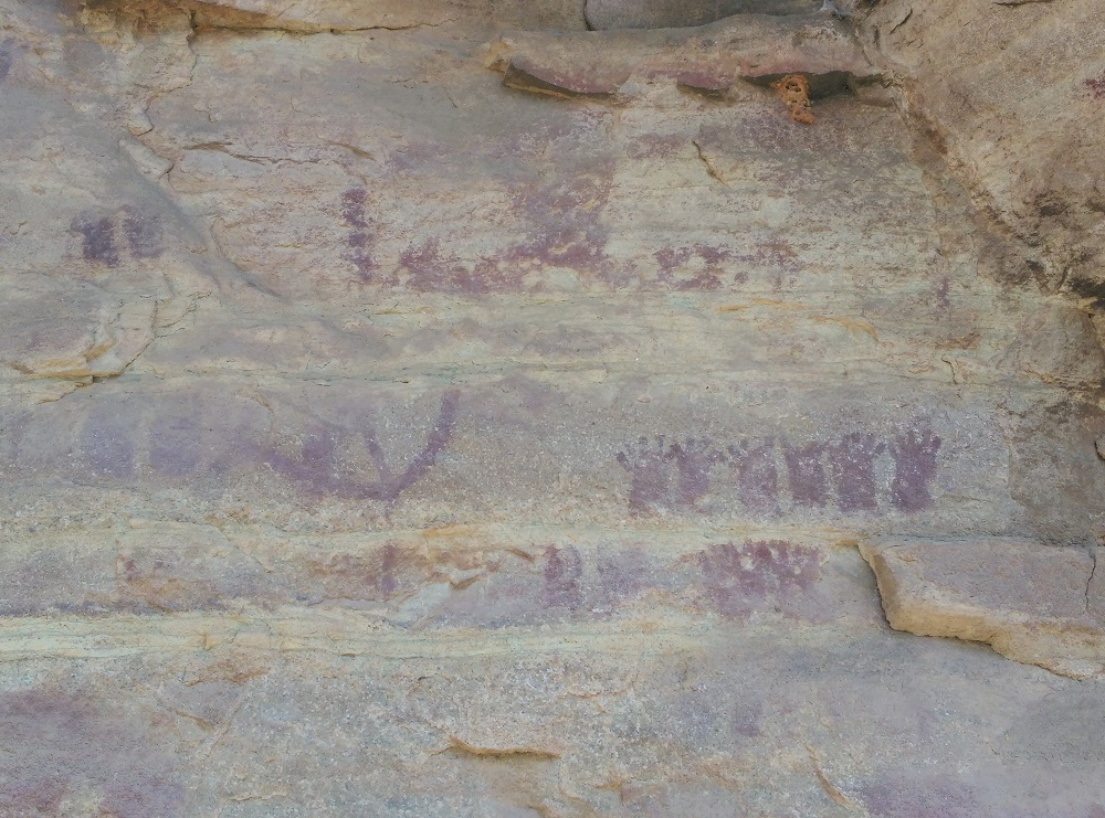 गोमर्ड़ा के शैलचित्र