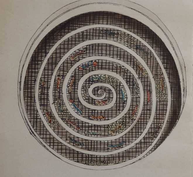 Bamboo spiral around which the silkworms begin to spin_, Courtesy: The Tribune