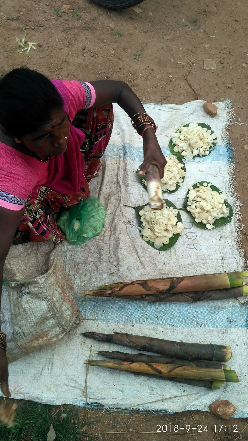 Bamboo Shoot at the local haat