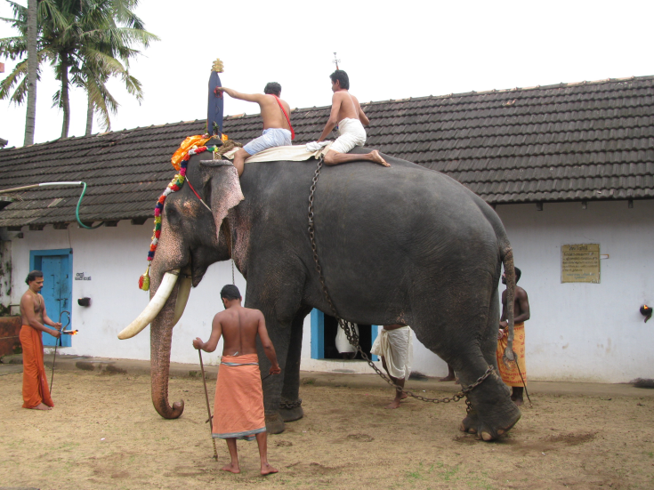 Rituals held as part of Moosari Utsavam. (Image Courtesy: Sudheer Kailas)