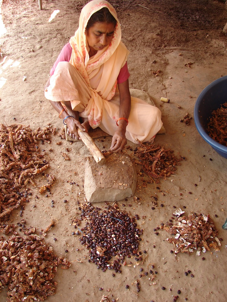 A woman making tamarind bricks