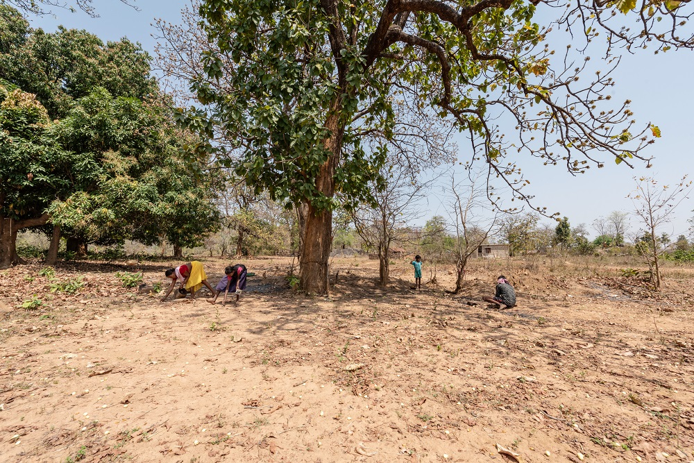 Women Collecting Mahua
