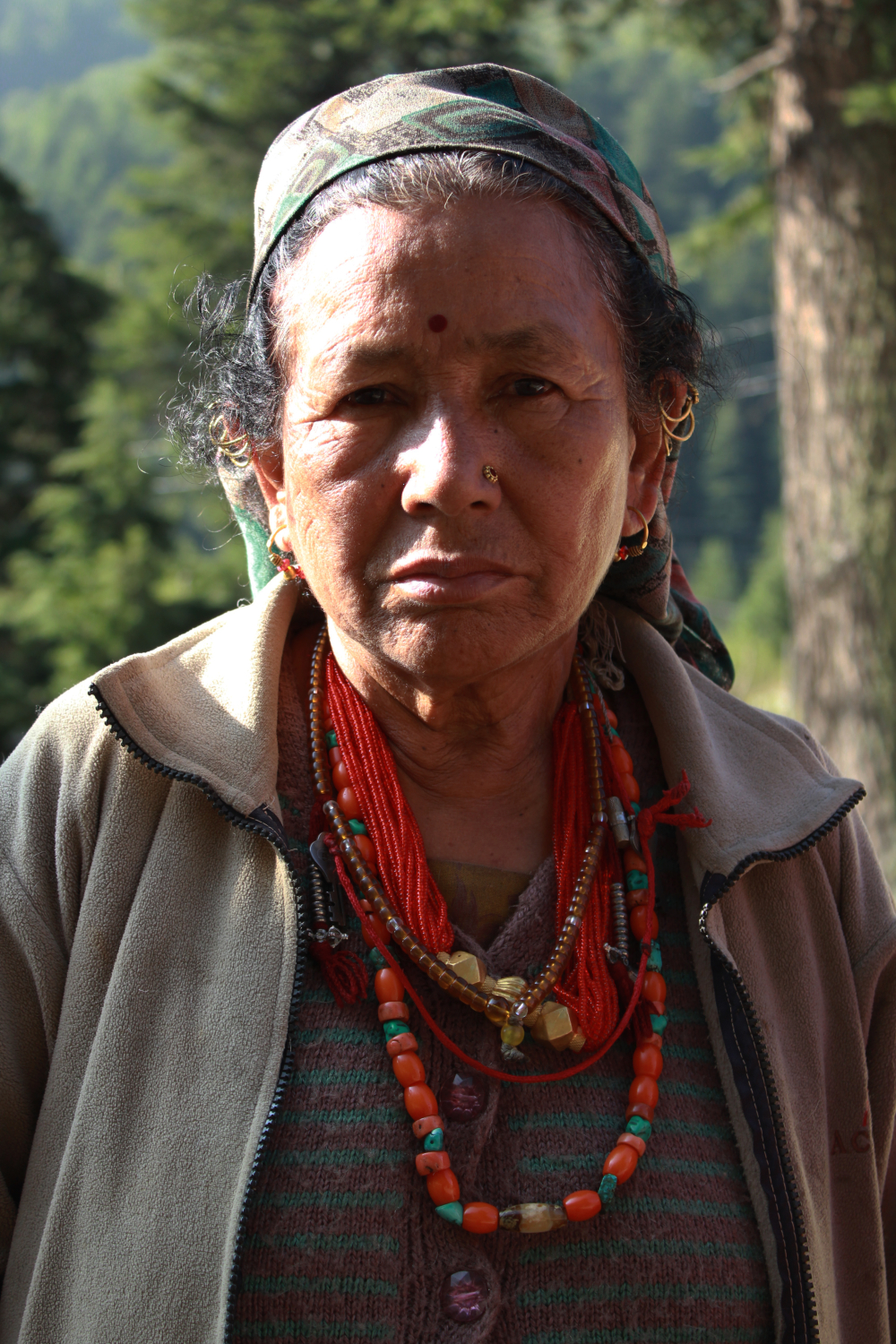 Fig 10: A Jadh Bhotiya woman wearing kanthi and a necklace of coral and turquoise stones 