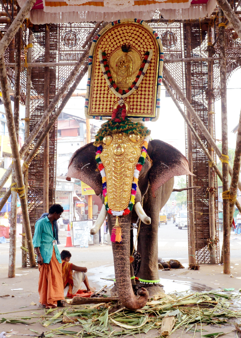 Fully decorated elephant. Image Courtesy: Anil Vijay.