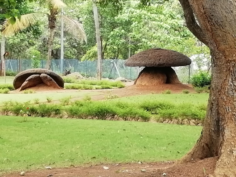 Kudakkal, Cheramanangad, Thrissur District, Courtesy: Rajesh K 2018