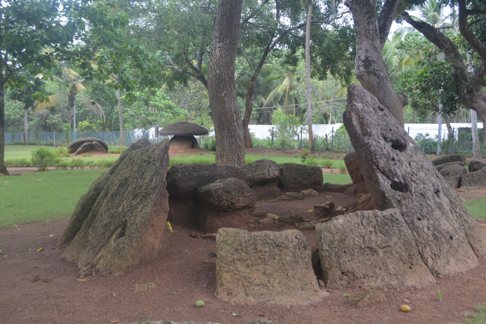 Pathikkal, Cheramananad, Thrissur District, Courtesy: Jaseera C.M. 2018