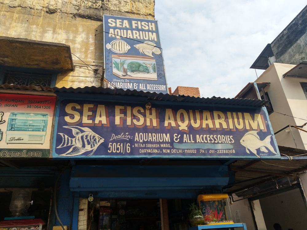 Fig 2: An aquarium shop in Daryaganj with a vibrant signboard created by Kafeel Artist, showcasing the now-diminishing examples of illustrated signages 