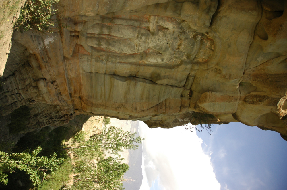 Fig. 3. Maitreya Buddha of Tumail hamlet in Soth valley of Kargil district (Courtesy: Tashi Morup, 2004)