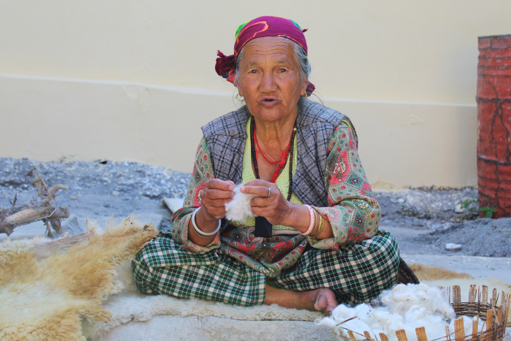 Fig 8: An elderly Bhotiya woman scouring, combing, and cleaning the wool before the process of carding