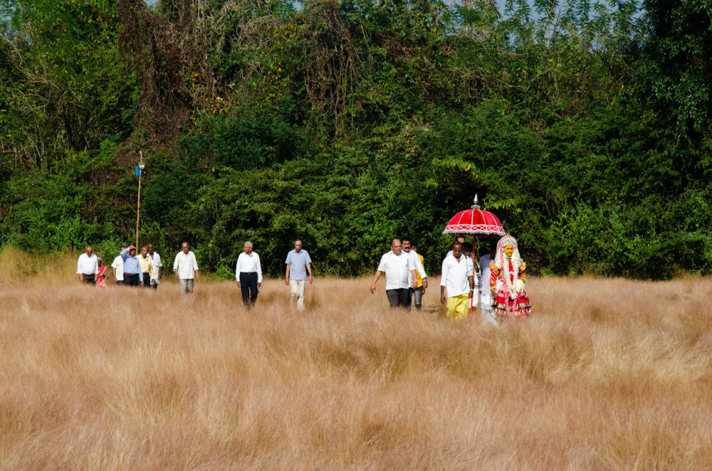Fig 6: The paatri returning to the guttumane after bhootakola. Only a few members of the village accompany him back to the house