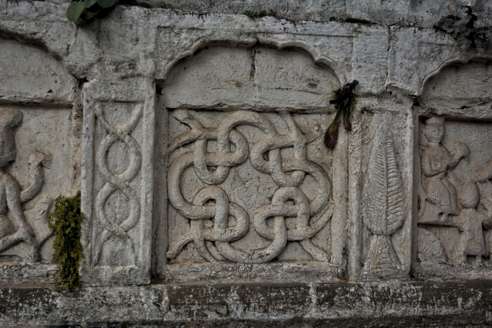 चित्र-7 बड़ी बावली चम्पैडी, उधमपुर, चित्र सौजन्य– अभिनव बहल, दिसम्बर, 2020