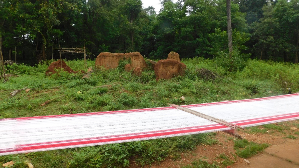 Fig.1. माड़ लगाकर लाल पाड़ के धागे को सुखाया जा रहा है| (सौजन्य: सरोज केरकेट्टा)