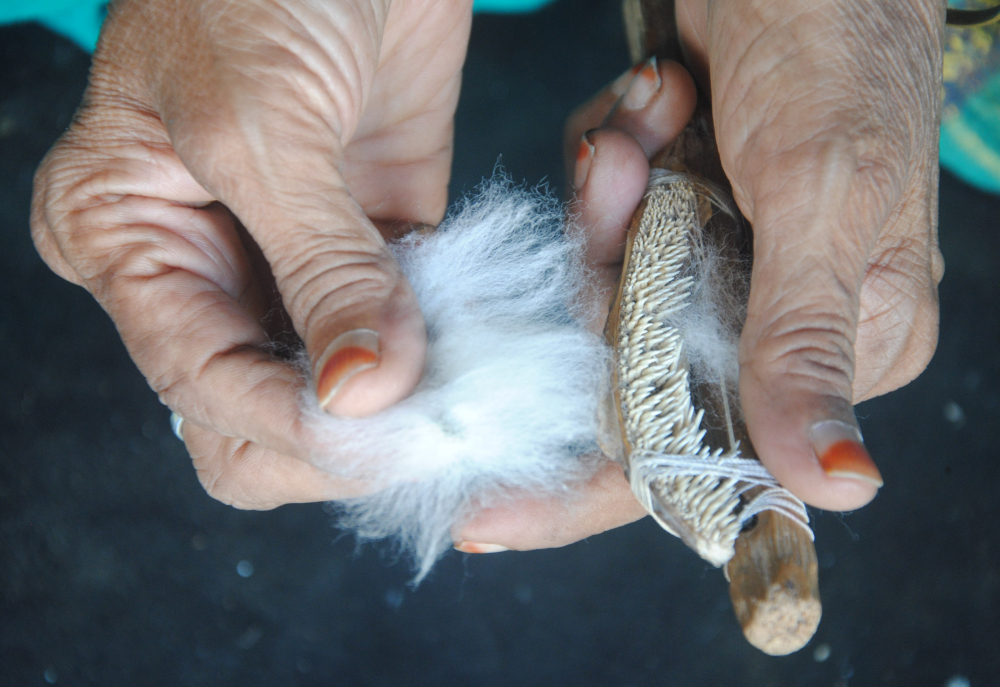 A lady combing raw cotton with fish jawbone to straighten the fibers sticking to the seed (Courtesy: Samyuktha Gorrepati) 