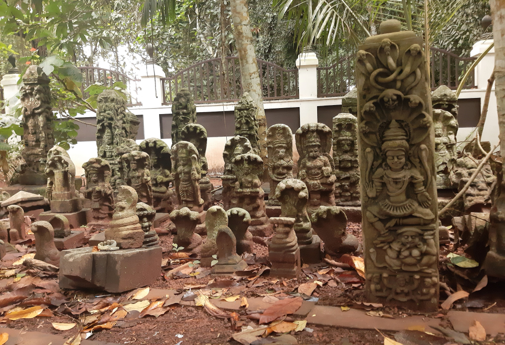 Fig 1. Serpent idols at Vetticode Nagaraja temple. These idols are representative of deities like Nagaraja, Nagayakshi, Nagachamundi, Nagakanyaka, and Maninaga. The idols are mostly made of rock and occasionally with panchaloha (five metals), a mix of gold, silver, iron, copper, and zinc. On the day of ayilyam (ninth day of Hindu astrology) every month, these idols are smeared with turmeric and salt, and ritualistic offerings are made