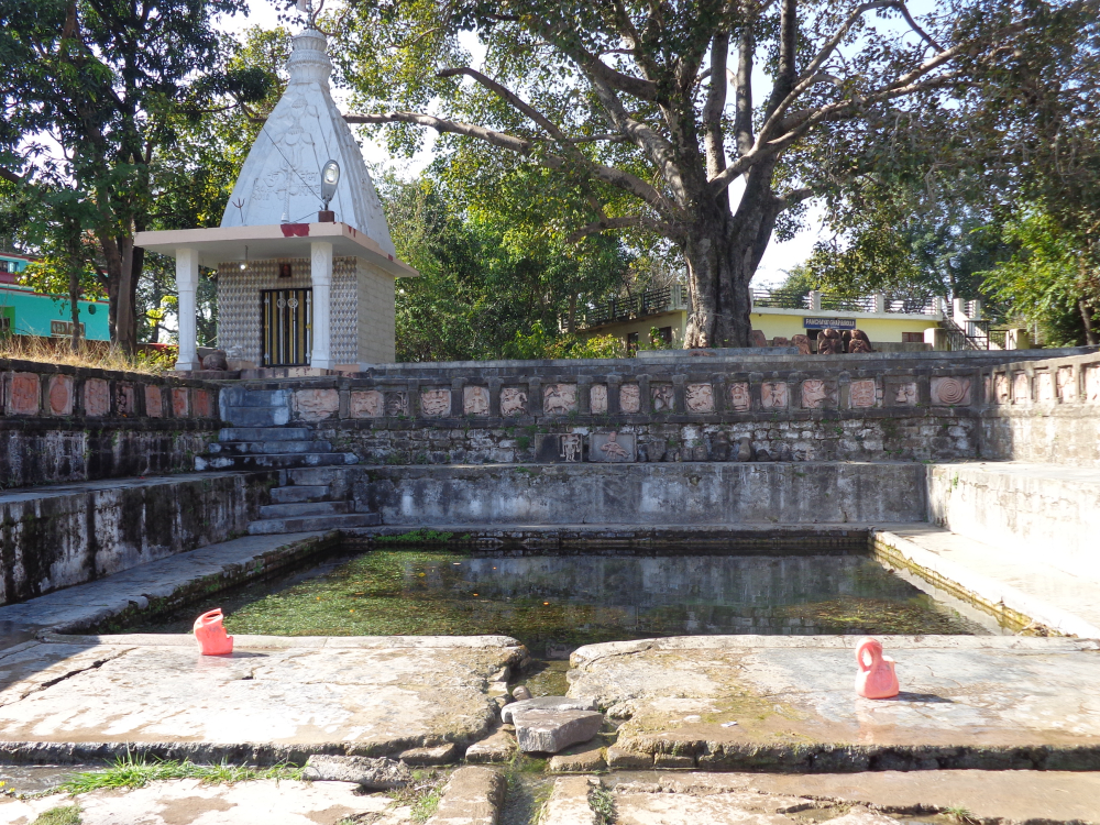 (चित्र– 3 प्रस्तुत चित्र उधमपुर के बडोल्ला कोठी गाँव में स्थित सालन अथवा सलैन्ड बावली का है, चित्र सौजन्य– नरेन्द्र भारती, जनवरी २०२१)