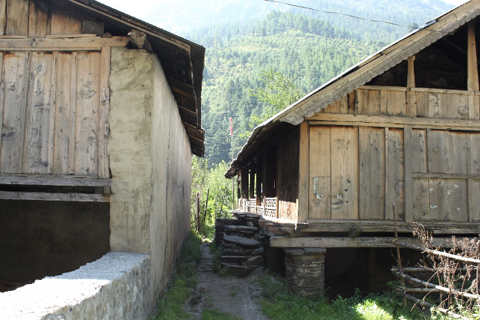 Fig. 8: The houses are spaced at a distance of 1–1.5 m from each other to accessibility. The wall facing the entrance of the adjacent house has no openings. This is done to block the cold winds blowing from that direction. It also helps in maintaining privacy of the individual houses 