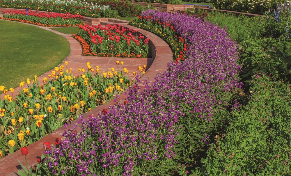 Flowerbeds in the Rashtrapati Bhavan Mughal Gardens, Photo by Narendra Bisht, courtesy Sahapedia.org