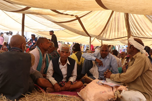 बड़े भजन मेला , ग्राम सलोनी कलां २०१९। 