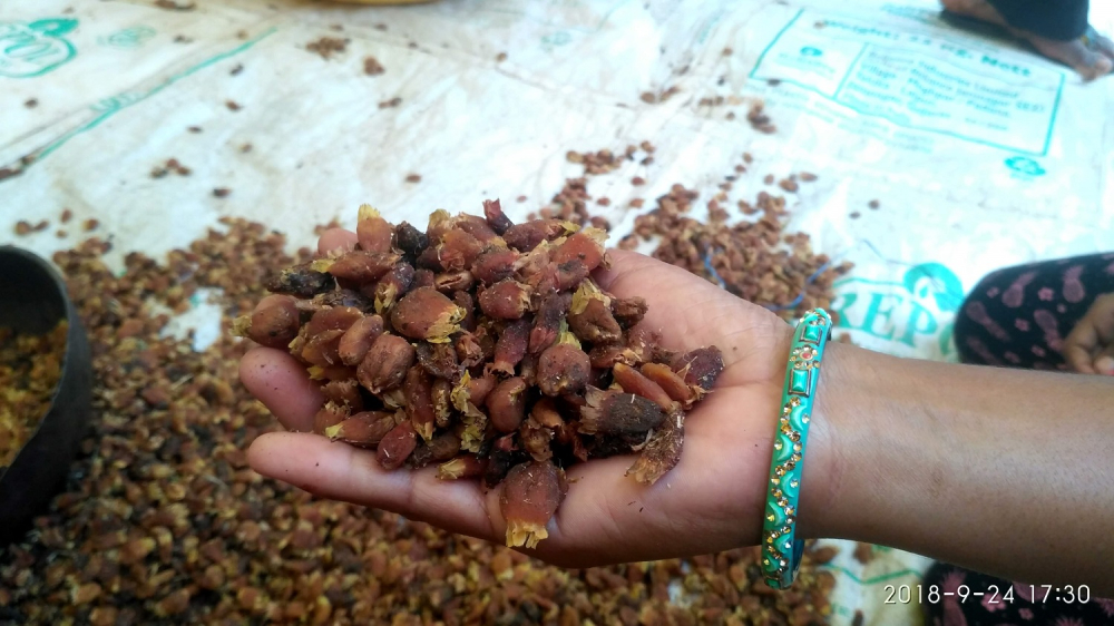 Mahua at the local haat