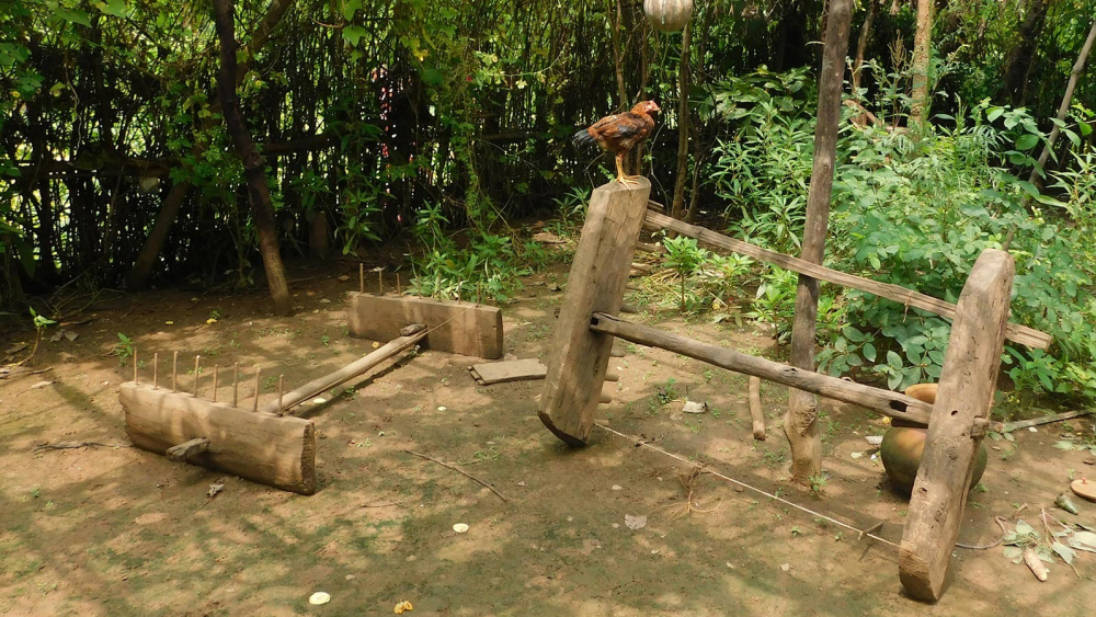 Fig.3.लुंडी-ताना - यह लकड़ी से बना औजार है जिससे कपड़े की चौड़ाई यानी ‘अरज’ तय की जाती है |(सौजन्य: सरोज केरकेट्टा)