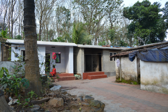 Fig. 3. A Paniya colony in Wayanad (Courtesy: Vasundhara Krishnan)