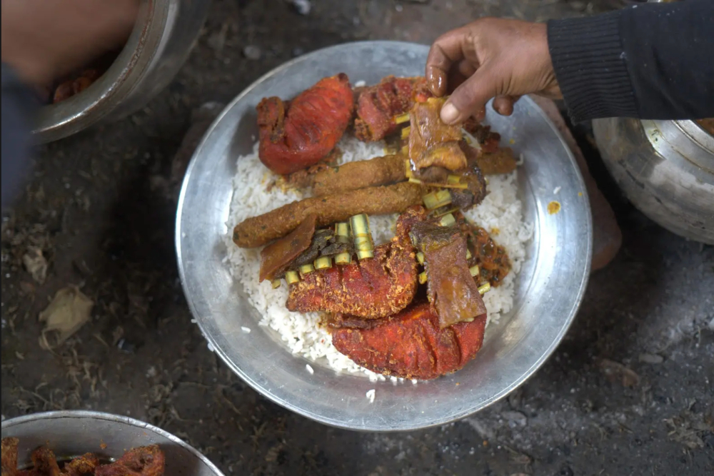 Trami. (Picture Credits: Syed Muneeb Masoodi)