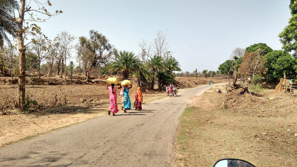 Women walking to the haat with their produces 