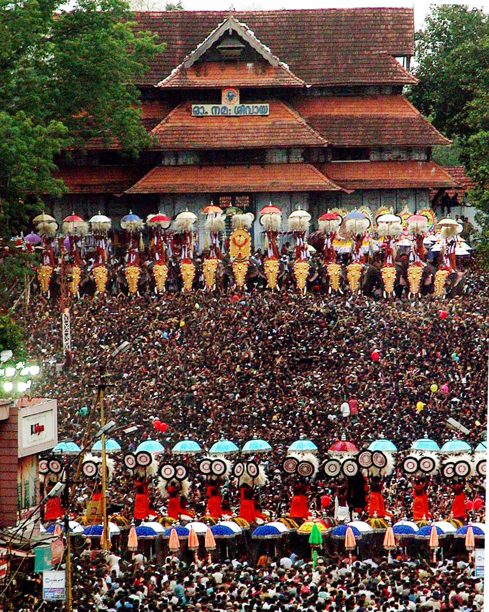 Thirty elephants stand face-to-face for Kudamattam in Thrissur Pooram. Image Courtesy: Anil Vijay.