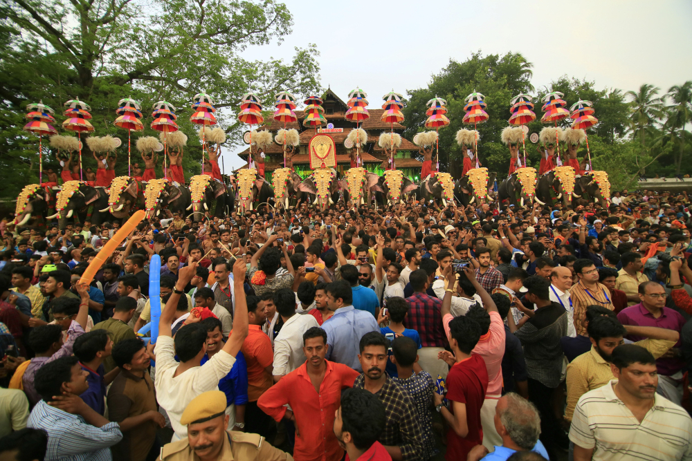 A view of the Thrissur Pooram. Image Courtesy: Anil Vijay.
