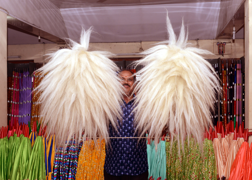 Venchamaram. Image Courtesy: Anil Vijay.