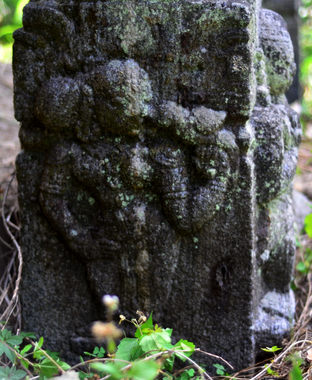 Sculpture from the temple at Punchavayal. A female figure stands, holding a parrot in one hand with the other hand in the katayavalmbitha pose. The sculpture is carved on one of the pillars in the hall attached to the outer wall. Photo courtesy: Rajesh Karthy 