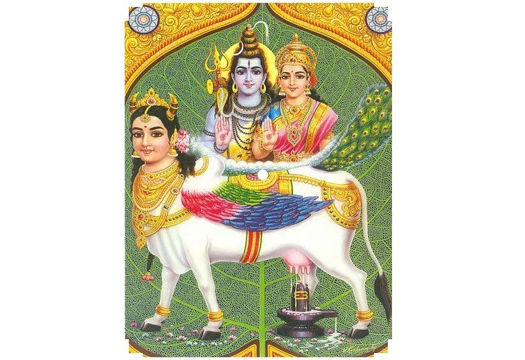 kamadhenu, kamadhenu cow, kamadhenu calendar art