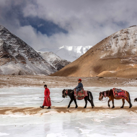 The Changpas live in a high-altitude cold desert in Ladakh. They follow a nomadic lifestyle, herding vast flocks of sheep, yak and goat. They harvest fine wool from their livestock, which is used in making Pashmina shawls. Their nomadic lifestyle is under threat from climate change and increasing urbanisation of Ladakh due to tourism. (Photo Courtesy: Lopamudra Talukdar)