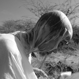 Jain pilgrims perform the Navanu Yatra 99 times to reenact the number of pilgrimages made by Adinatha, the first Jain Tirthankara (Courtesy: Ankita Jain)