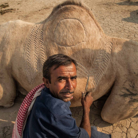 The Great Rann of Kutch is home to itinerant pastoral communities, who though are collectively called maldhari. One such maldhari community are the Fakirani Jats, who live a semi-nomadic life and breed camels. The camels are known as Kharai, a breed which is peculiar to the mangrove ecosystem of Kutch district.