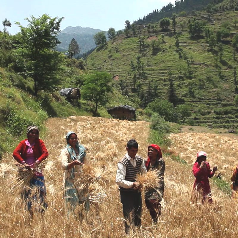 Jungoo and dooah are not songs of devotion or dancing. They celebrate moments of everyday life (Courtesy: Arvind Sharma, Vandita Jain, Sunayana Singh and Sanyukta Sharma)