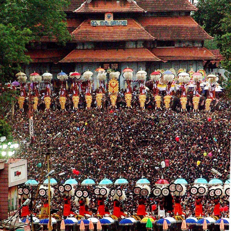 In Kerala, it has become the symbol of culture, being used in temples for a quite long time. One of the traditional uses of elephants in Kerala is the one associated with temples. Of late, this has become a part of all the festivals including those in churches and mosques.