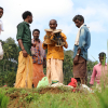 Paniya people getting ready for rituials before the beginning of Kambalanatty (Courtesy: Vasundhara Krishnan)